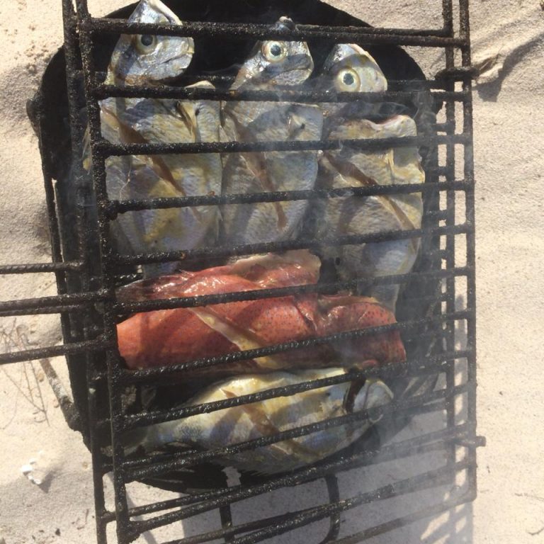 BBQ with Fish at fishing holidays and trips Boa Vista