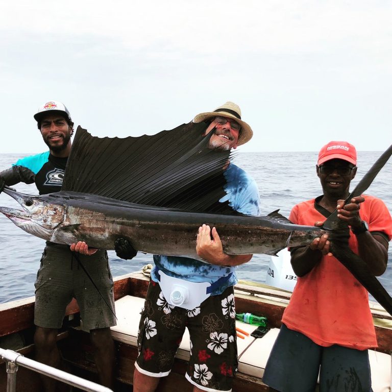 Sailfish catch and release of fishing holidays and trips Boa Vista