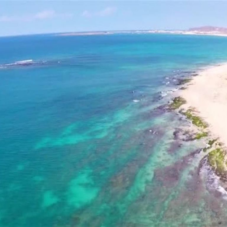 View of the Sal Rei bay during the bay cruise of fishing holidays and trips Boa Vista